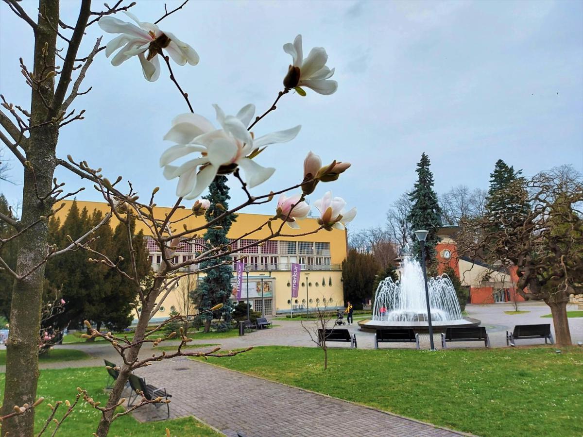Apartman Modena Lux Vrnjačka Banja Zewnętrze zdjęcie